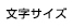 文字サイズの変更